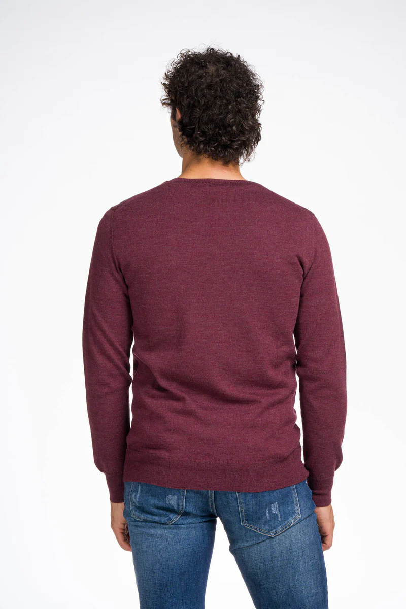 maglia-uomo-in-lana-merino-prugna-dietro